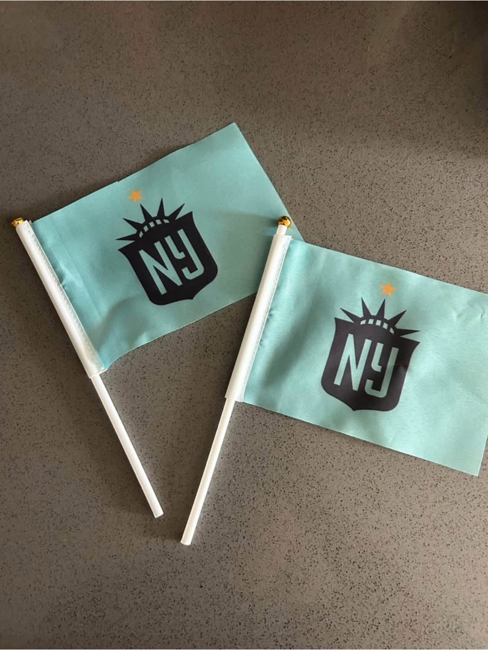 GOTHAM FC NY/NJ Hand Flags - Pack of 2